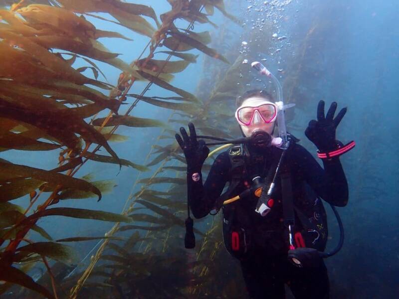 San Diego Scuba Diving Tours: Guided Dives in La Jolla | Dive California