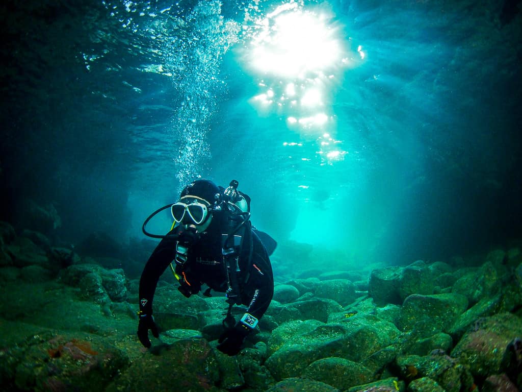 Dive California  San Diego Scuba Diving Tours and Freediving Courses