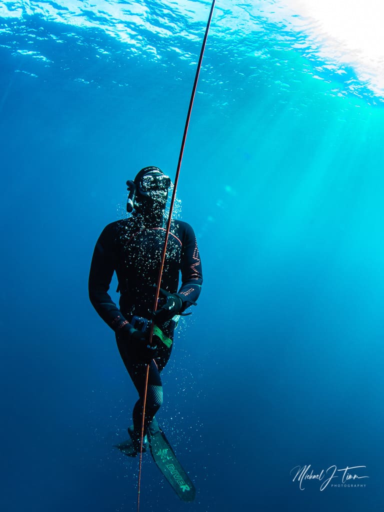 san diego freediving courses