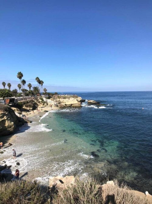 La Jolla Cove Scuba Diving: A Guide for Divers | Dive California