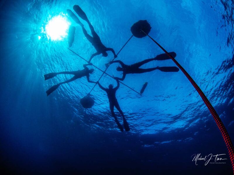 San Diego Freediving Courses Dive California