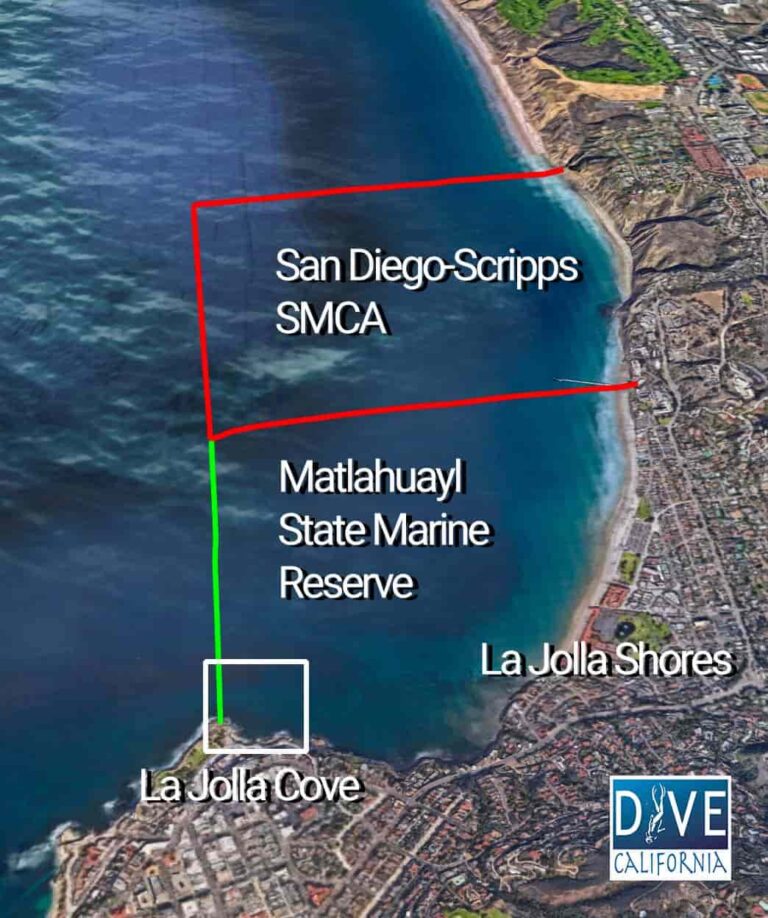 la jolla cove scuba diving