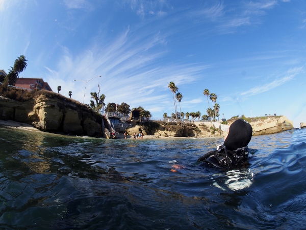 La Jolla Cove: Snorkel, Swim & Dive Steps Away