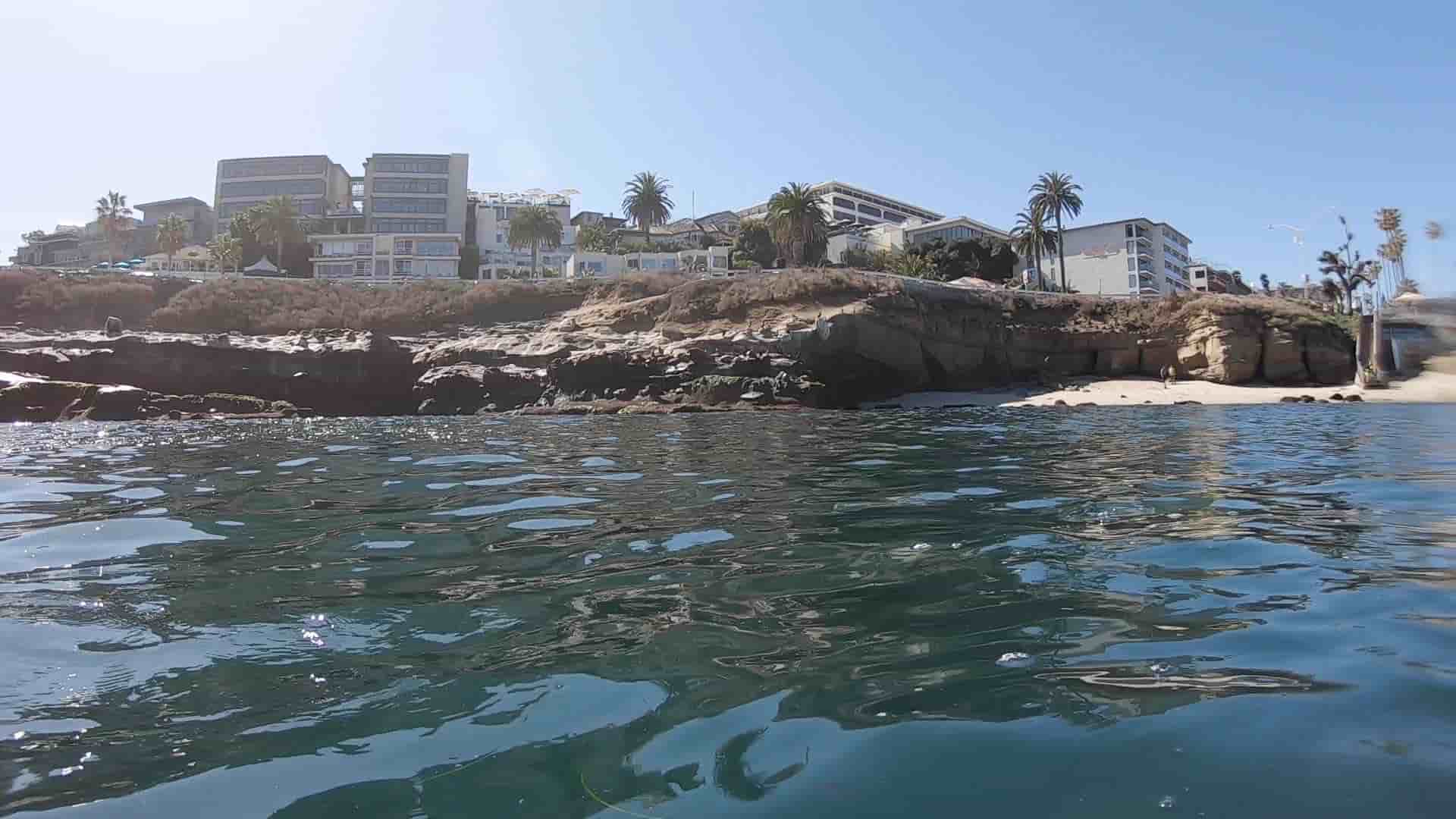 La Jolla Cove: Snorkel, Swim & Dive Steps Away