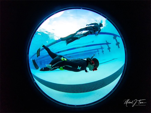 Read more about the article Freediving Disciplines