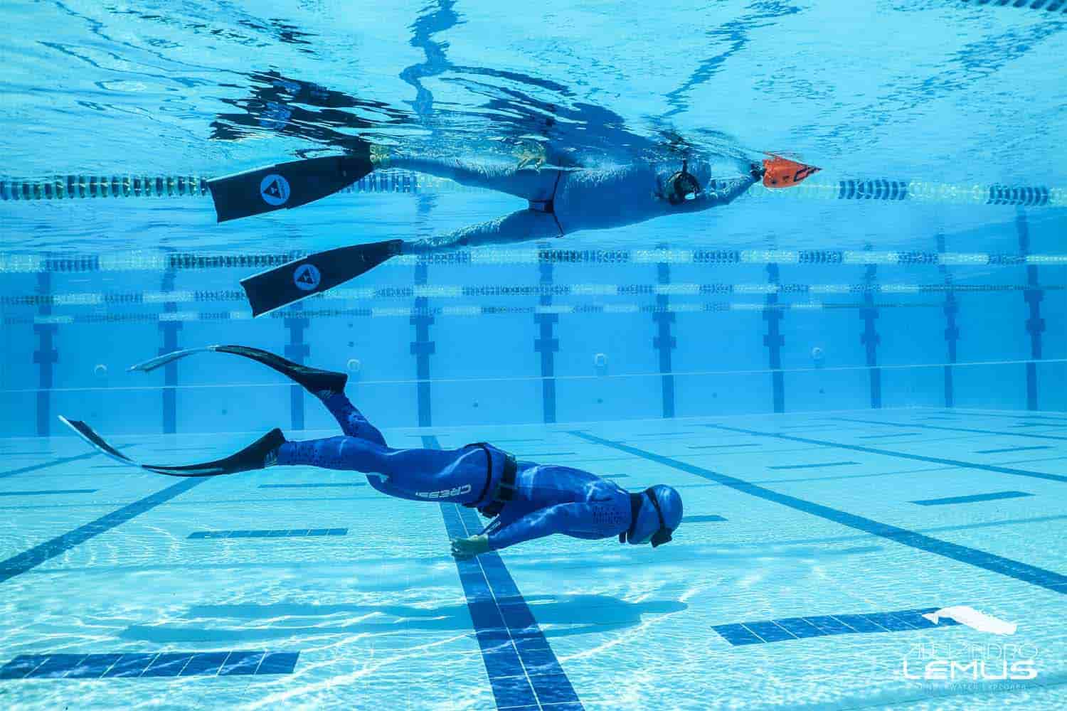 Freediving Disciplines Each Freediving Style Explained