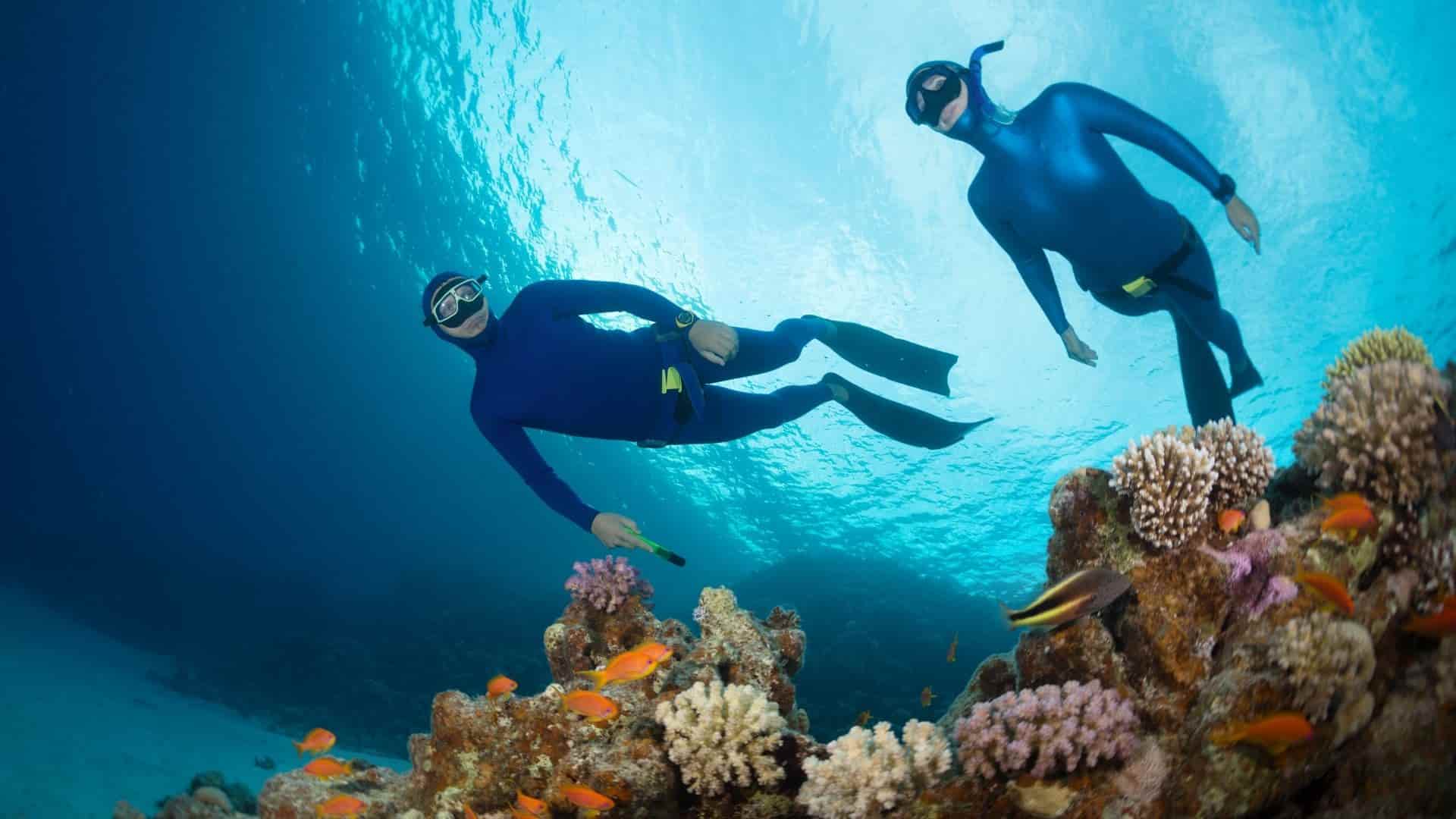 scuba vs freediving