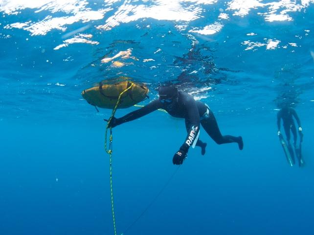 private group freediving course