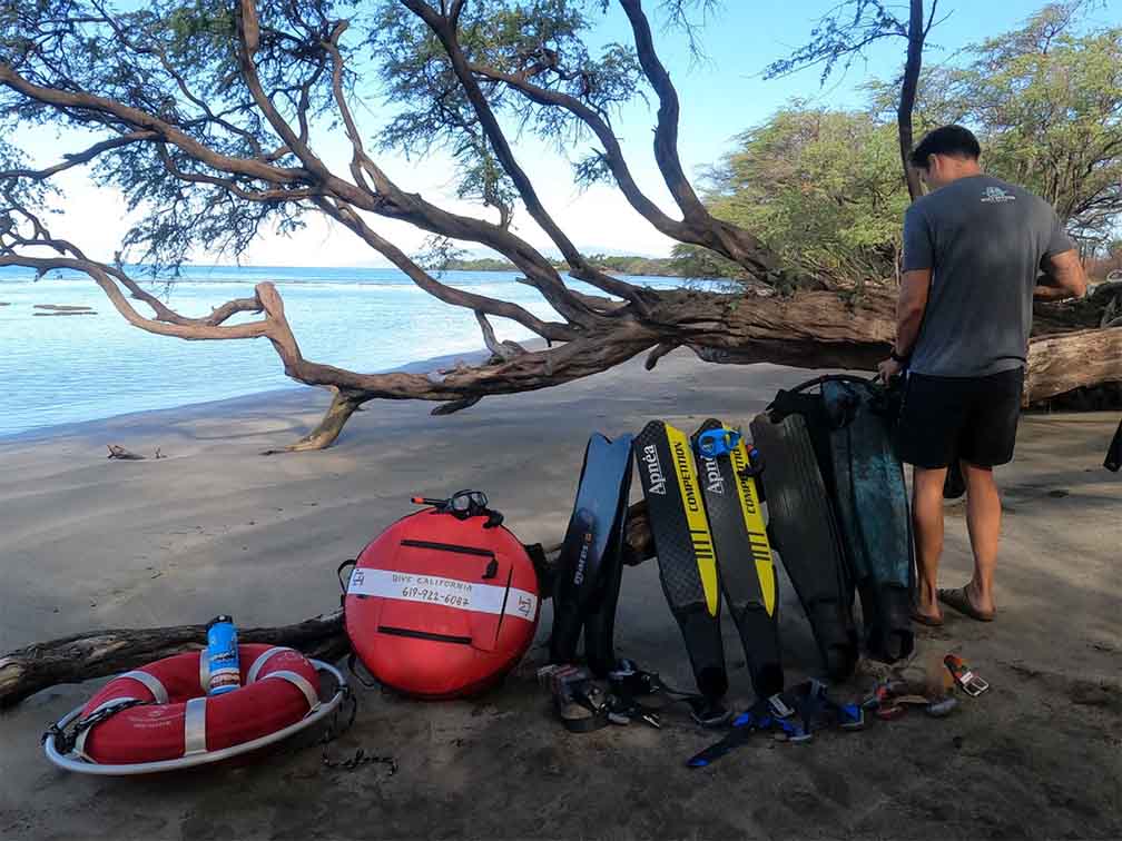 padi freediver course