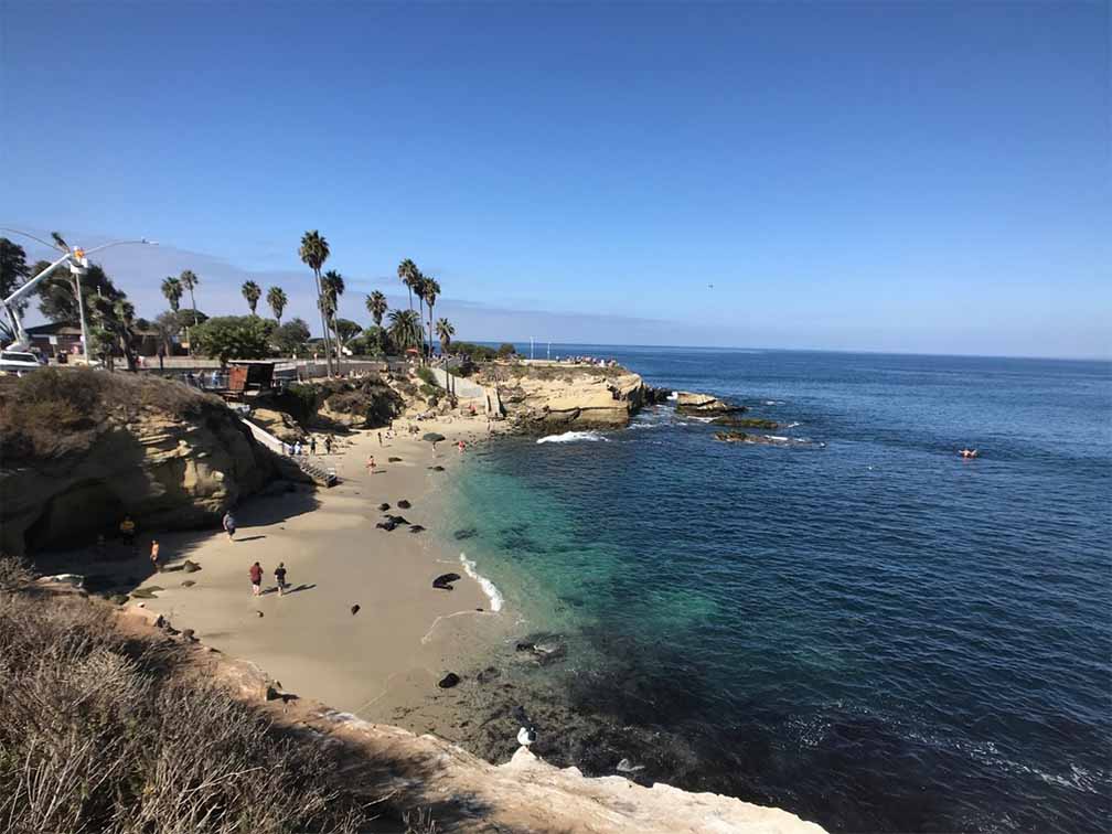 la jolla cove guided dive