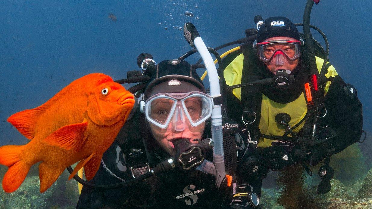 san diego open water course