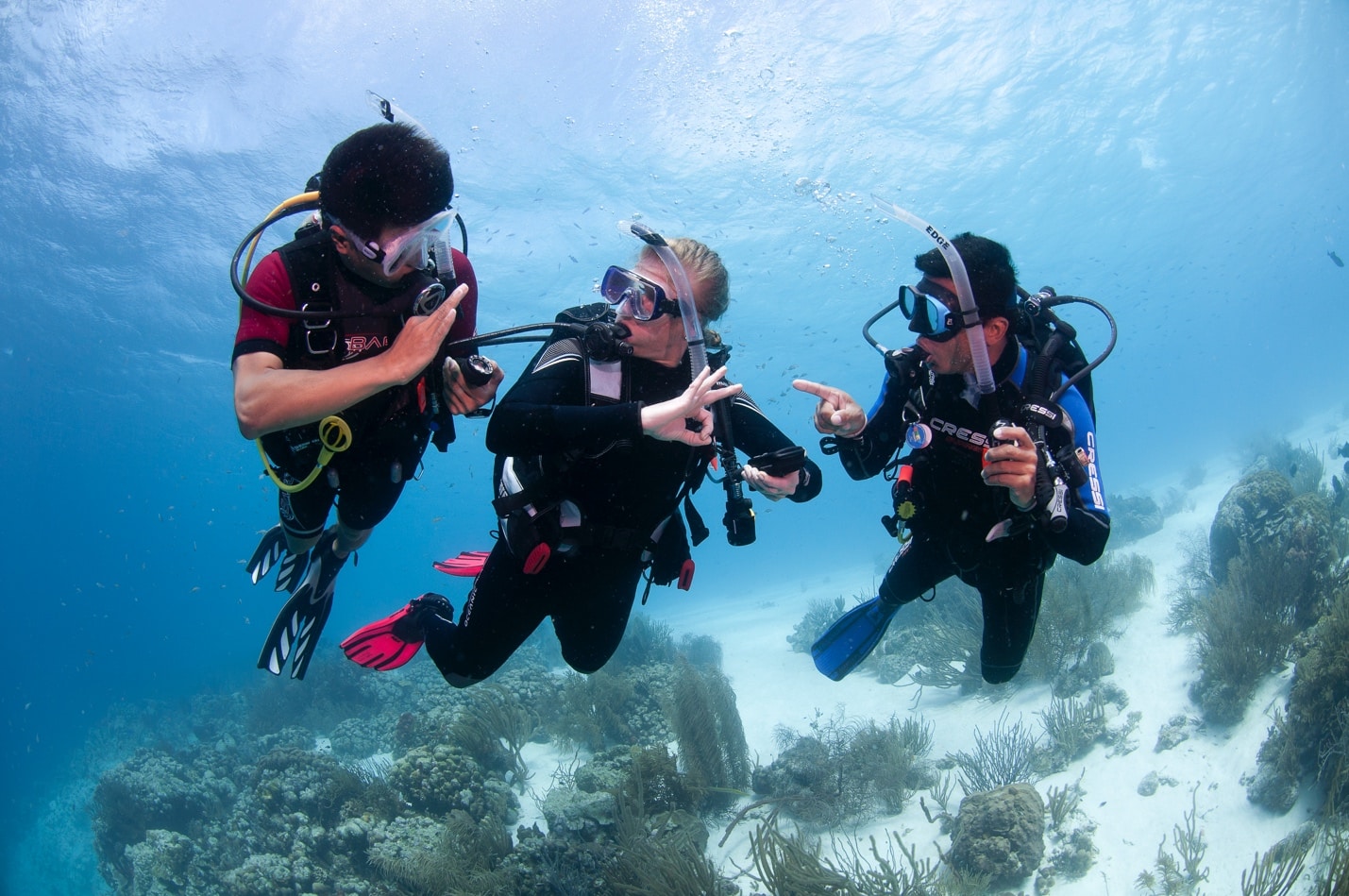 Experienced Scuba Instructor